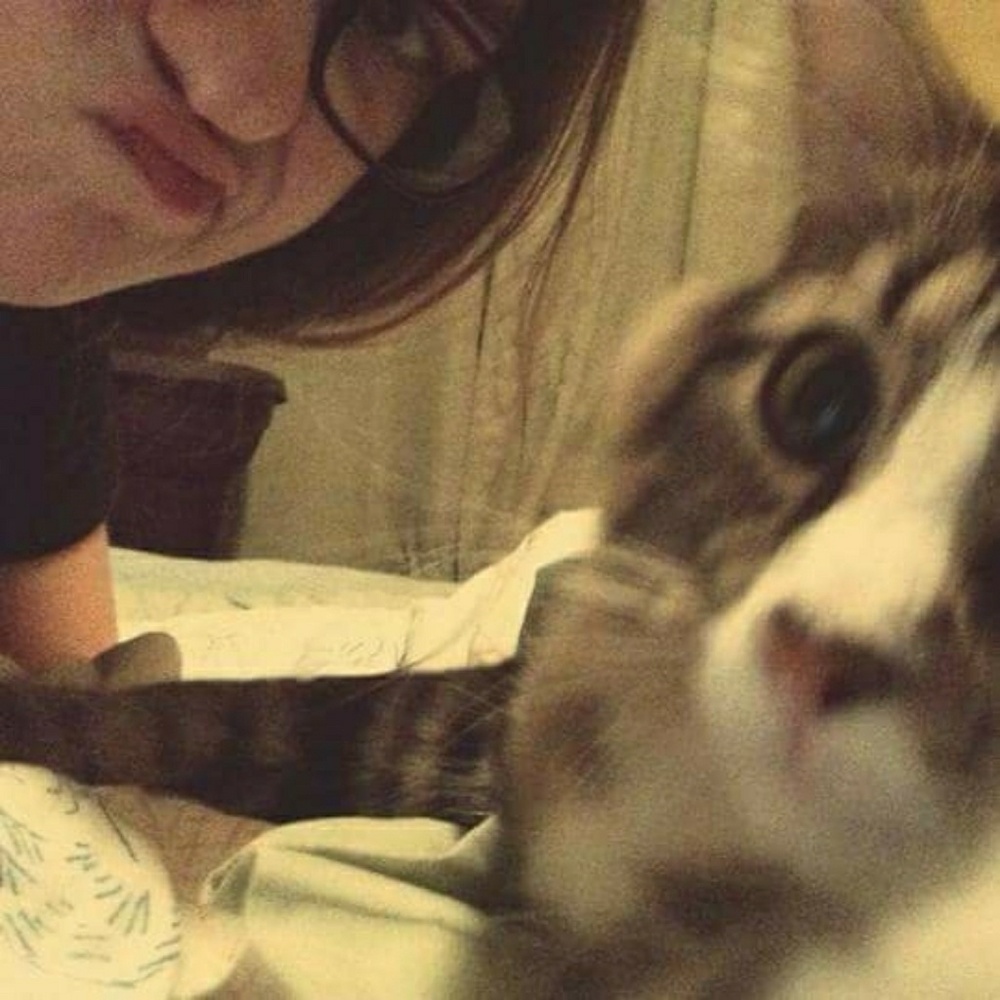 Meet your Posher, Anna